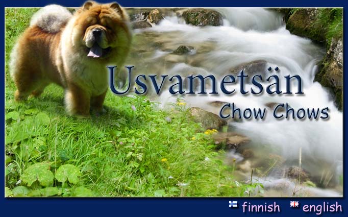 Usvamets&auml;n kennelin etusivu