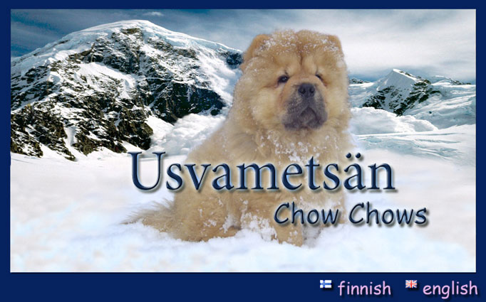 Usvamets&auml;n kennelin etusivu